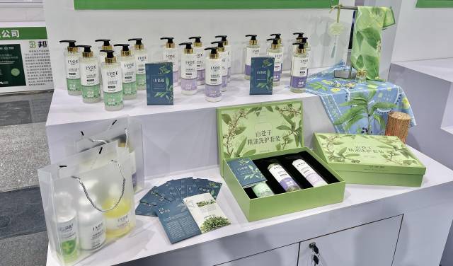 北山野“小辛香”如何迈向“大市场”AG真人登录一颗山苍子的新生：粤(图4)