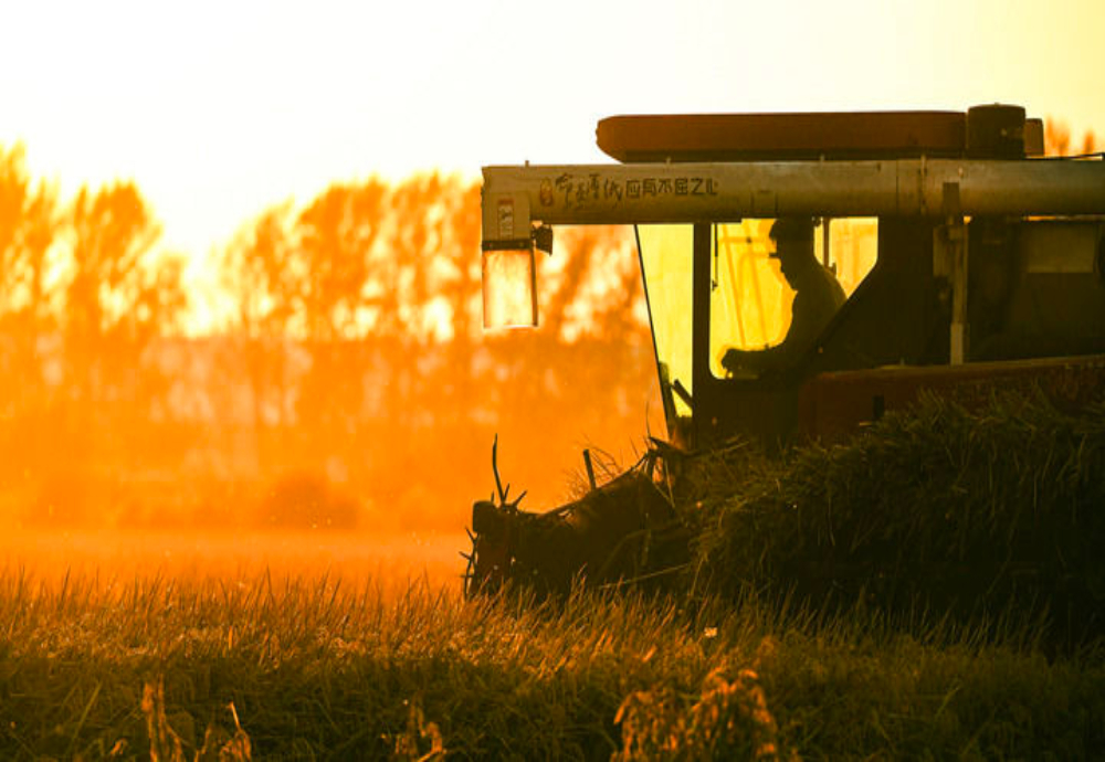 人文”与“经济”辉映共生AG真人国际双节相遇!“(图9) 人文”与“经济”辉映共生AG真人国际双节相遇!“(图9)