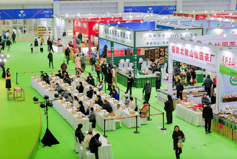 幕：以茶为媒香溢甬城共筑茶业发展新平台AG真人网站2025宁波茶博会盛大启(图2)